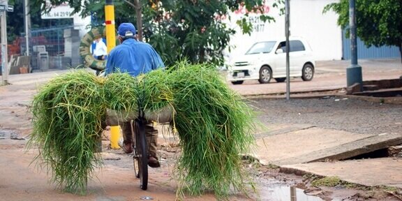 Suriname